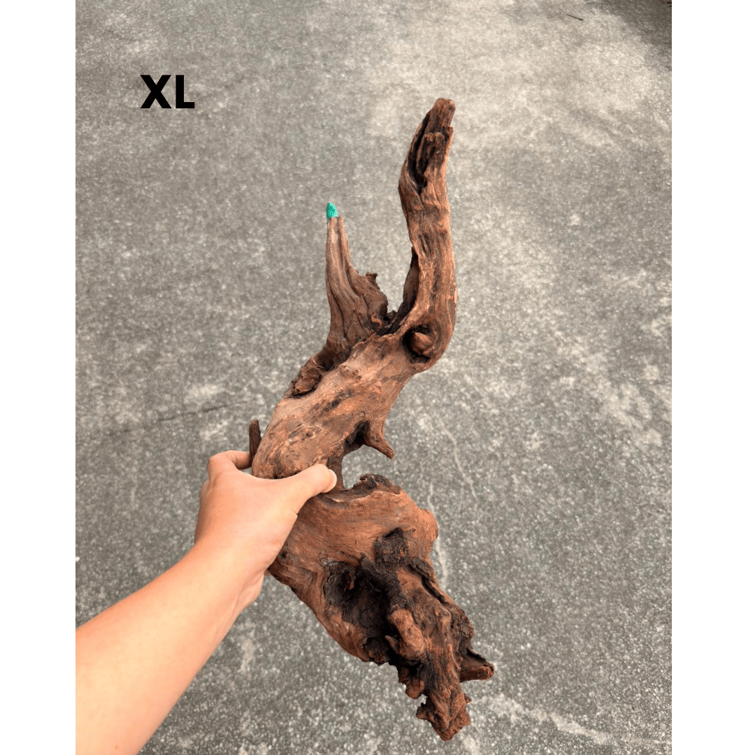 ANS Old Black Driftwood (Various size)