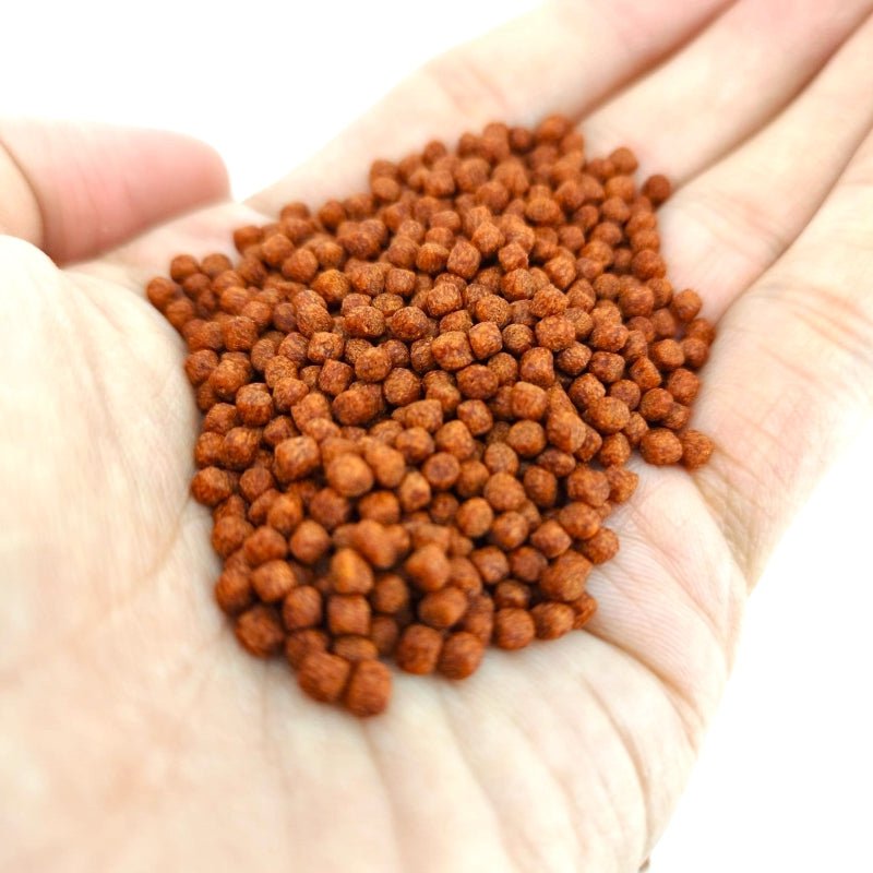 ANS Colour Feed 21Days M 930G