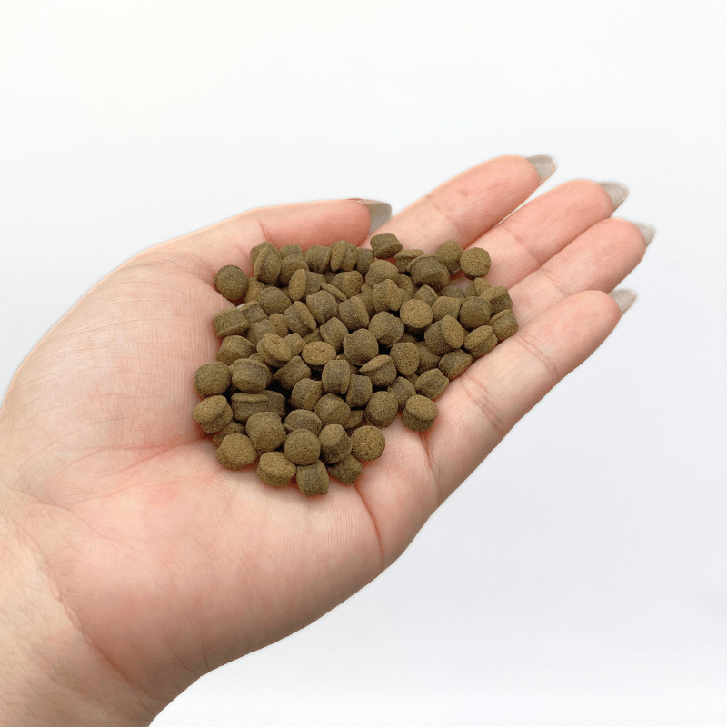 ANS Sinking Jumbo Pellets (S/M/L)