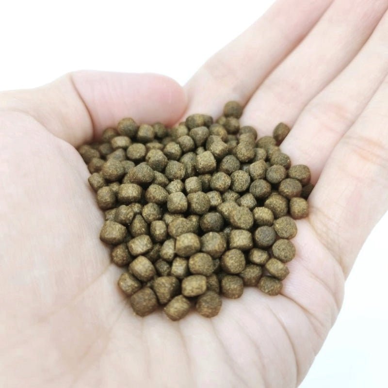 ANS Extreme Growth Pellet M 930G