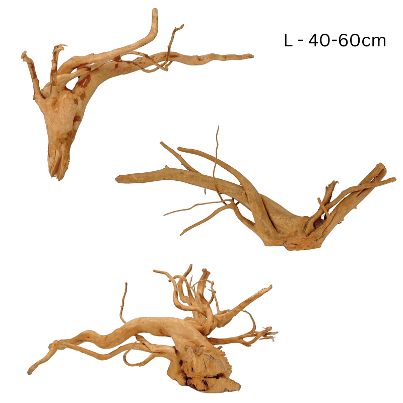 ANS Spider Wood Deco (Various size)