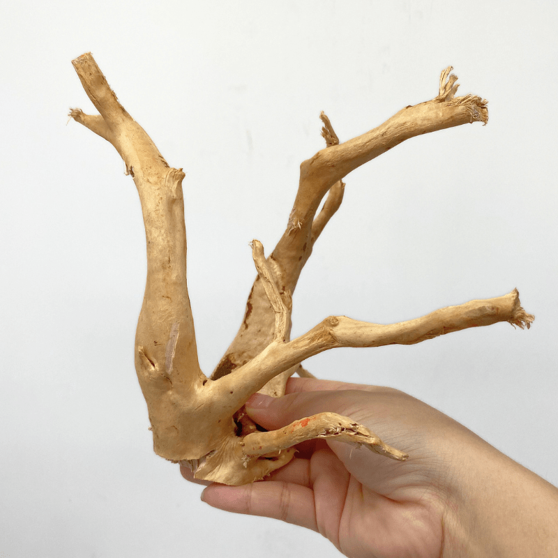 ANS Spider Wood Deco (Various size)