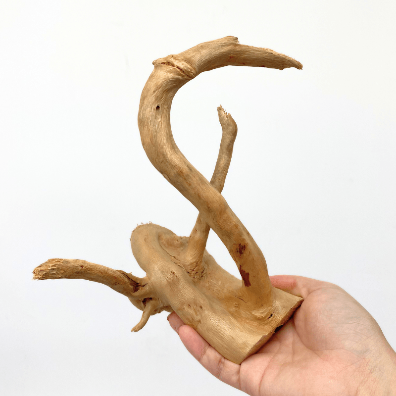 ANS Spider Wood Deco (Various size)