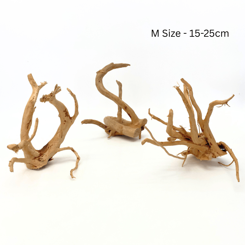 ANS Spider Wood Deco (Various size)