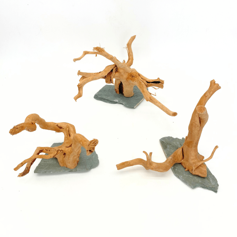 ANS Spider Wood Sculpture (S,M,L)