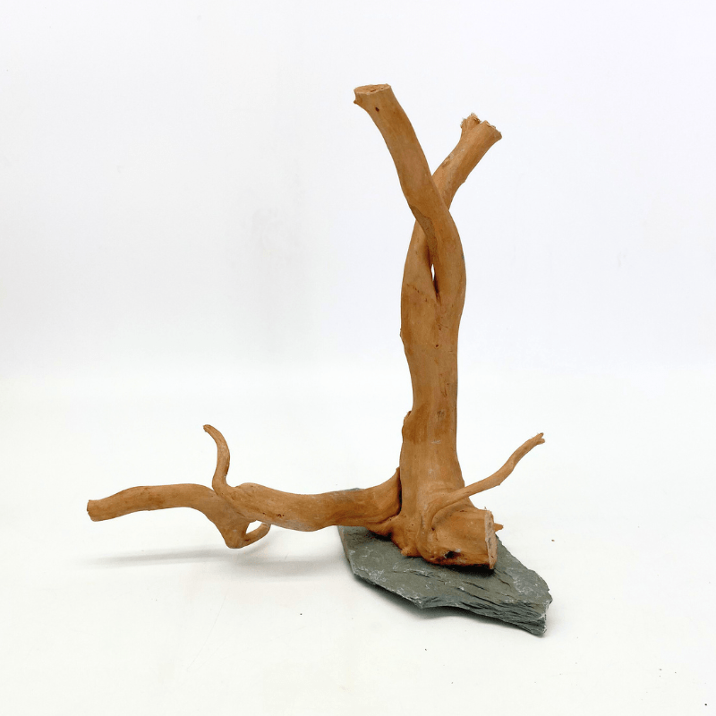 ANS Spider Wood Sculpture (S,M,L)