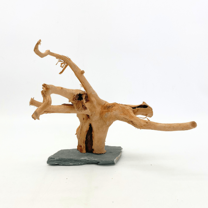 ANS Spider Wood Sculpture (S,M,L)