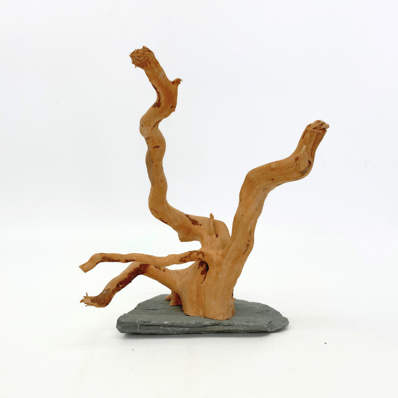 ANS Spider Wood Sculpture (S,M,L)