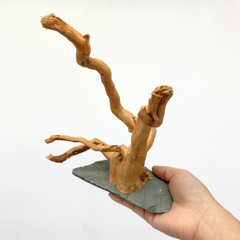 ANS Spider Wood Sculpture (S,M,L)