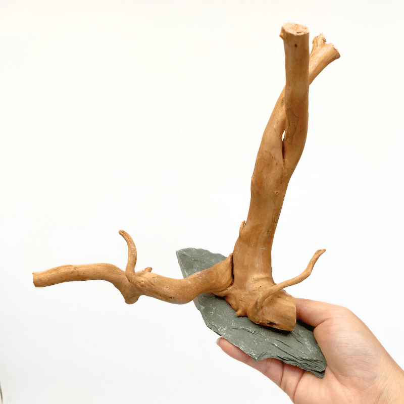 ANS Spider Wood Sculpture (S,M,L)