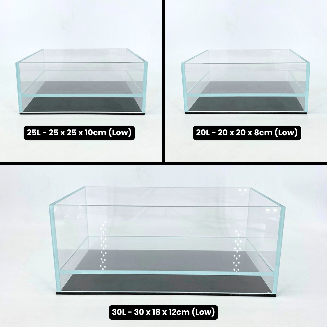 ANS Terracube (Various Size)