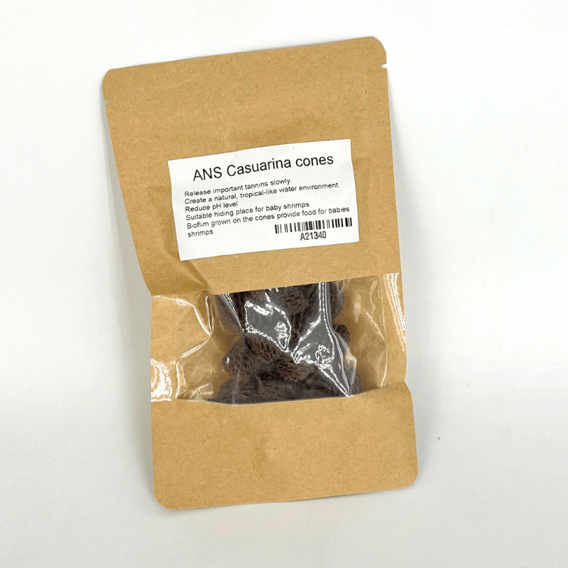 ANS Casuarina Cones Aquarium