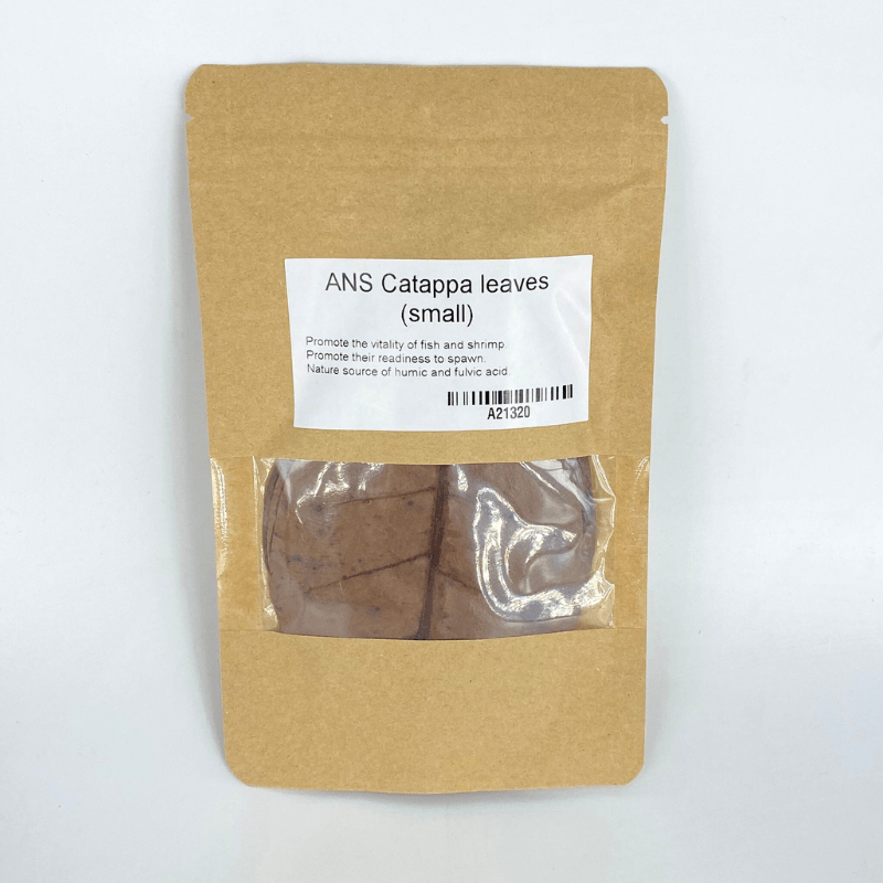 ANS Catappa Leaves Small