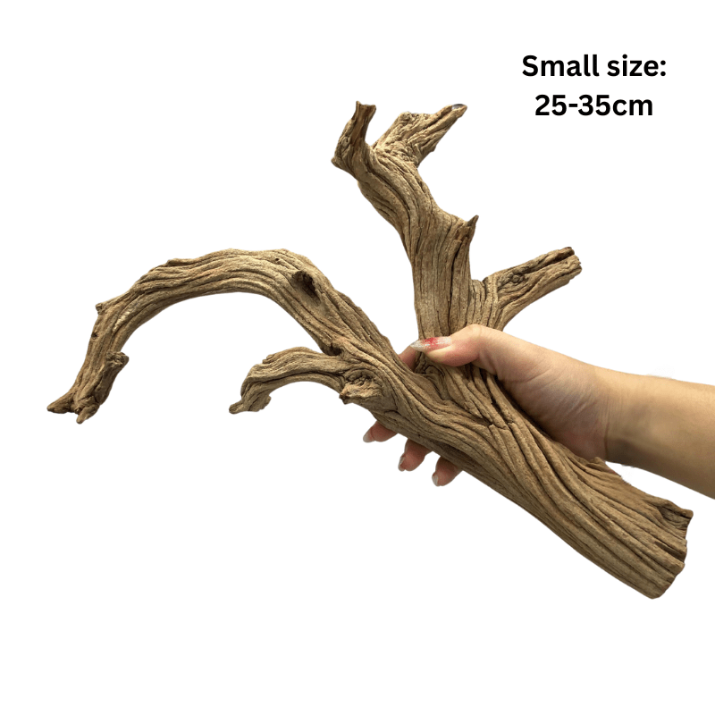 ANS Ghostwood Driftwood (Rare!)