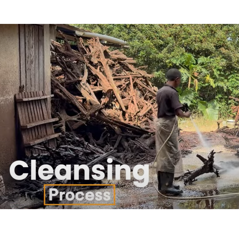 ANS Malayan Aquascape Driftwood M (30-38cm)