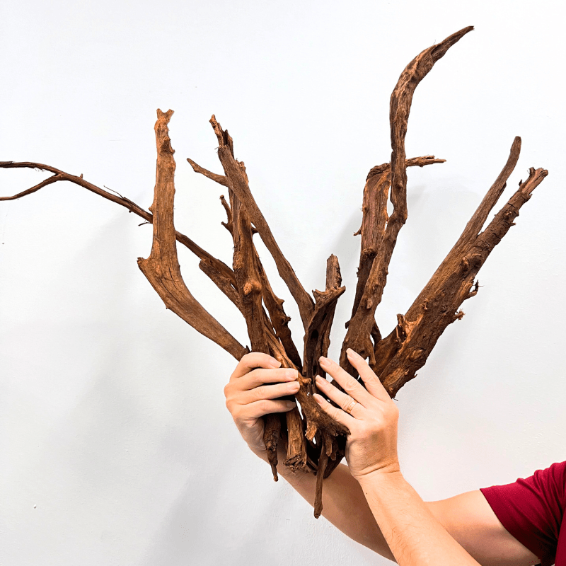 ANS Malayan Aquascape Stick L (40-60cm)