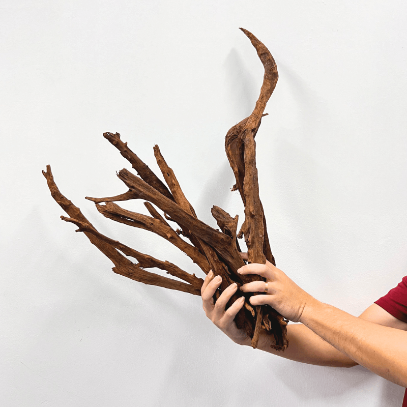 ANS Malayan Aquascape Stick L (40-60cm)