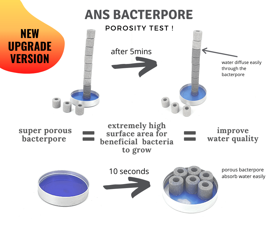 ANS BacterPore MaxSuper Porous Ceramic Rings | Aquarium Koi Pond | pH