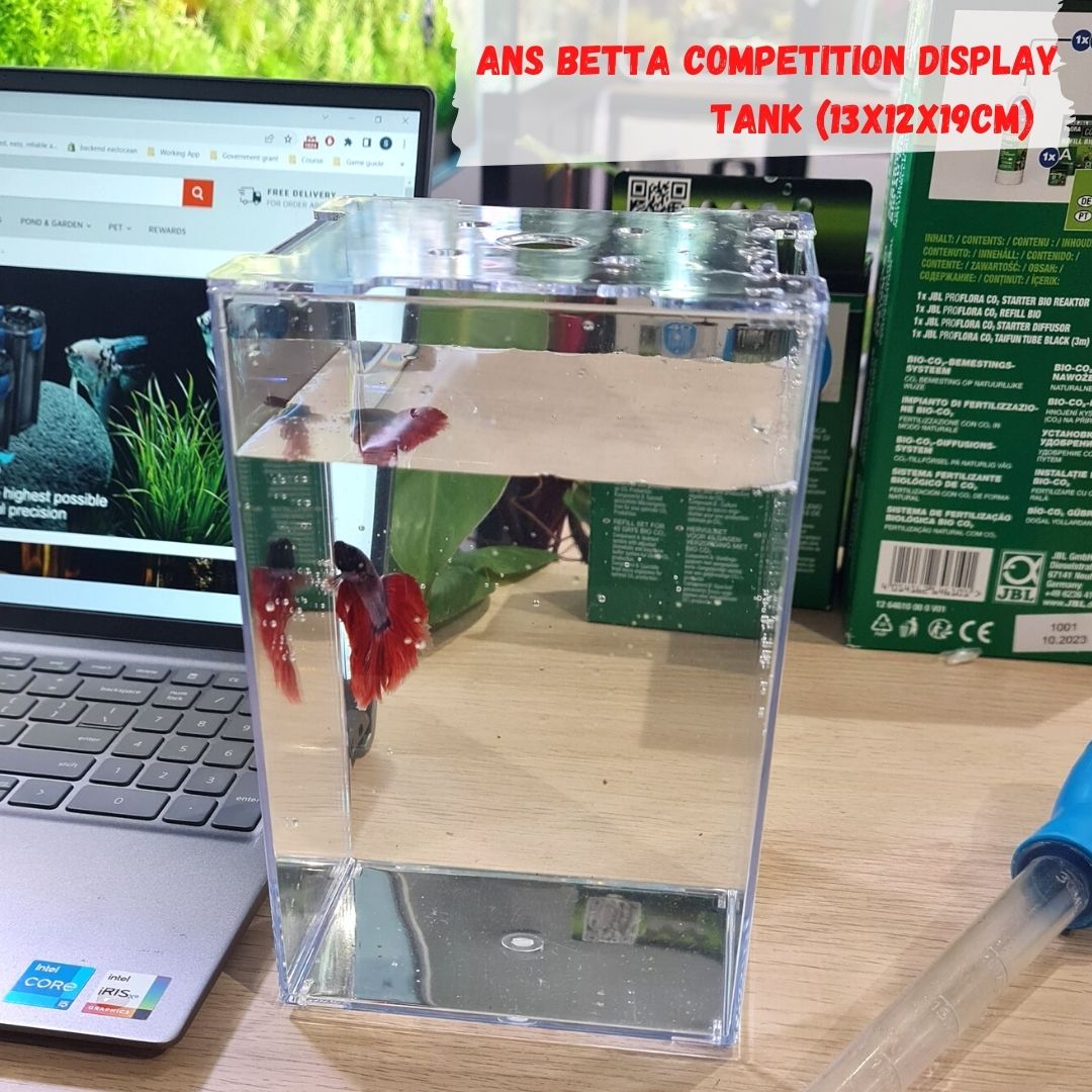 ANS Betta Competition Display Tank 13x12x19cm