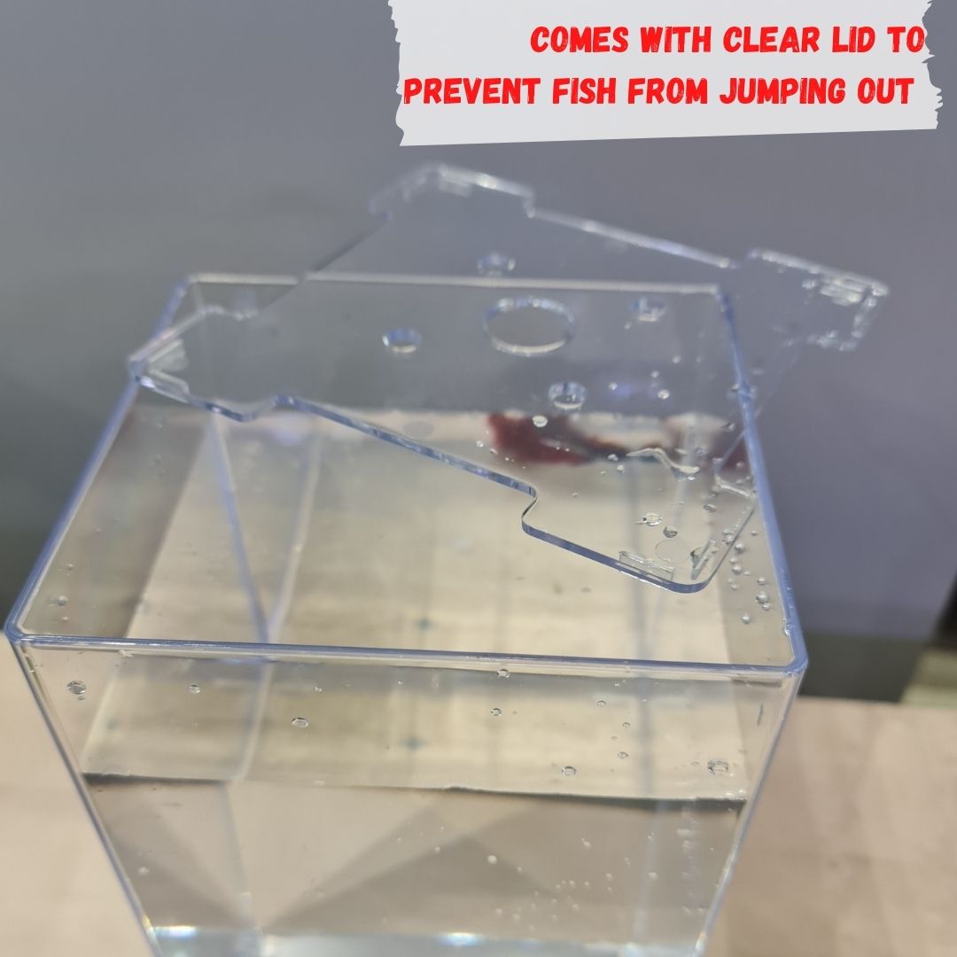 ANS Betta Competition Display Tank 13x12x19cm