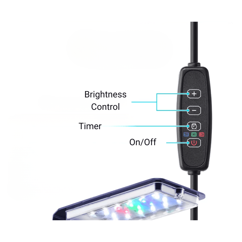 ANUBIAS A-200 Tank Set - Freshwater Aquarium Starter Kit