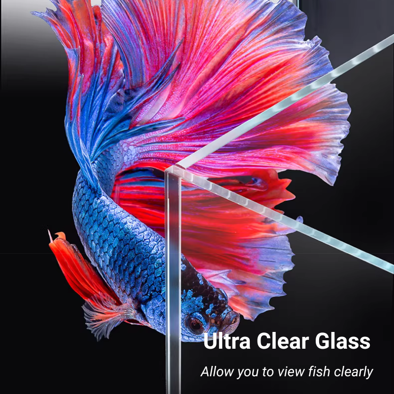 ANUBIAS A-200 Tank Set - Freshwater Aquarium Starter Kit