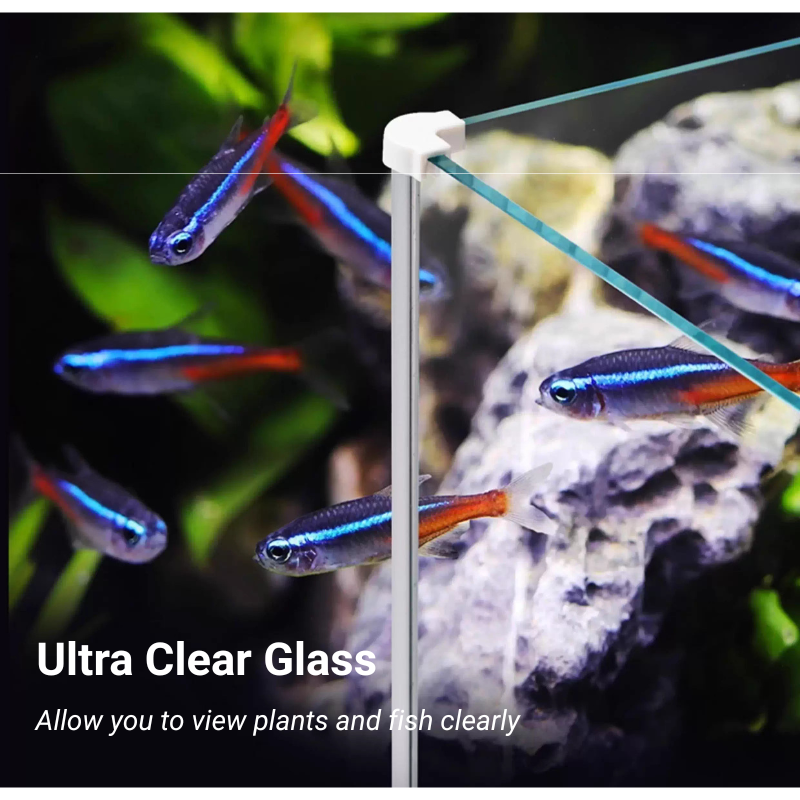 ANUBIAS A-398 Tank Set - Planted Aquarium Tank