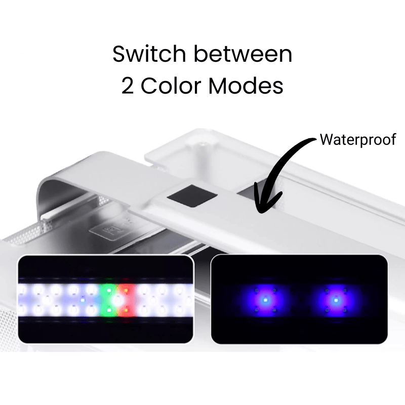 ANUBIAS A-398 Tank Set - Planted Aquarium Tank