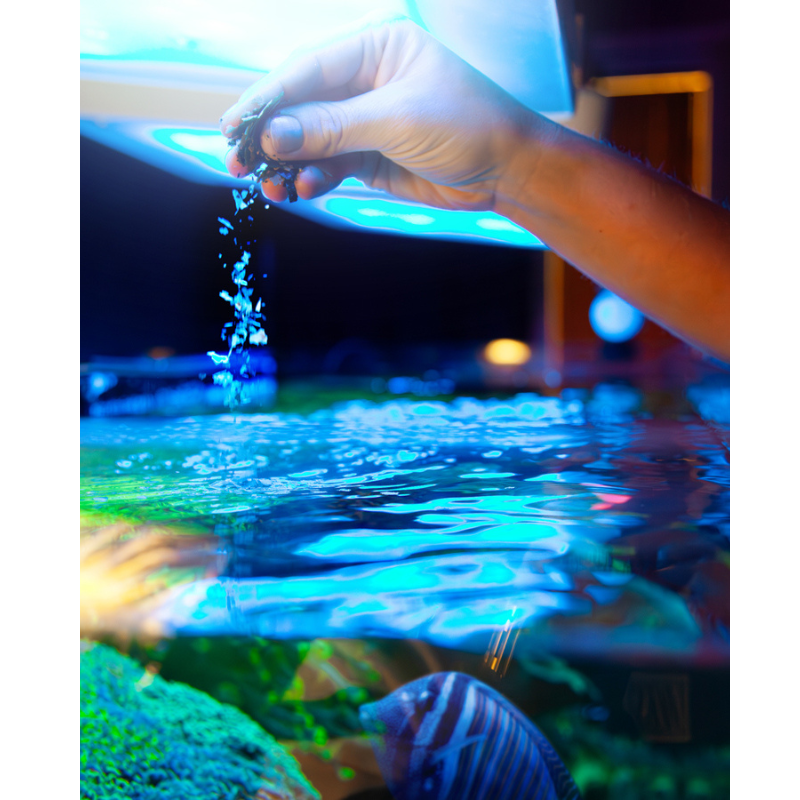 Aquaforest Marine Flakes 25G