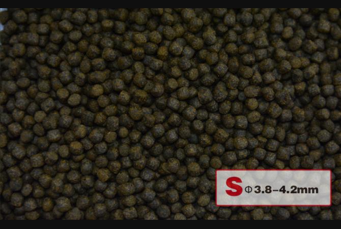 Aqua Master Koi Colour Enhancer 1kg (S)