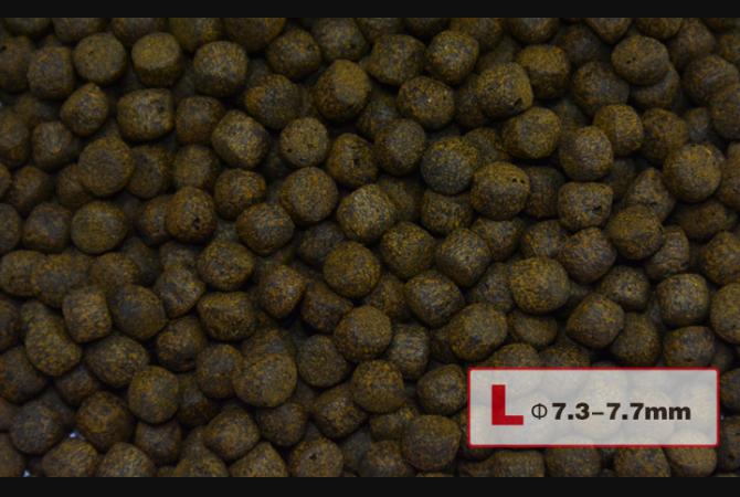 Aqua Master Koi Colour Enhancer 1kg (S)