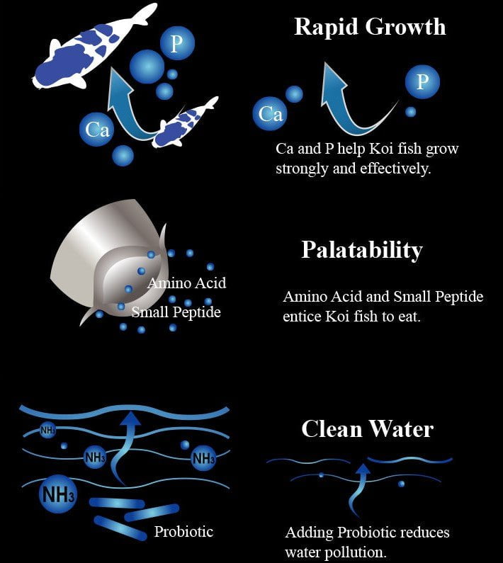 Aqua Master Koi Growth 1kg (S)