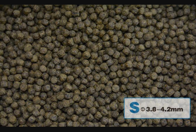 Aqua Master Koi Growth 1kg (S)