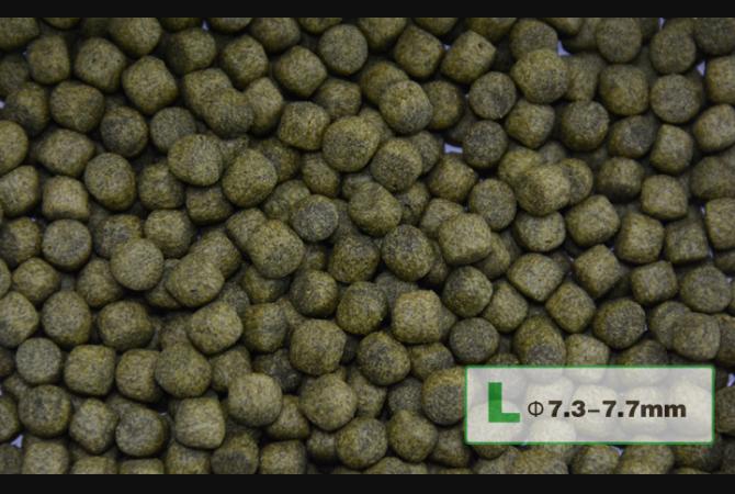 Aqua Master Koi Staple 1kg (S)