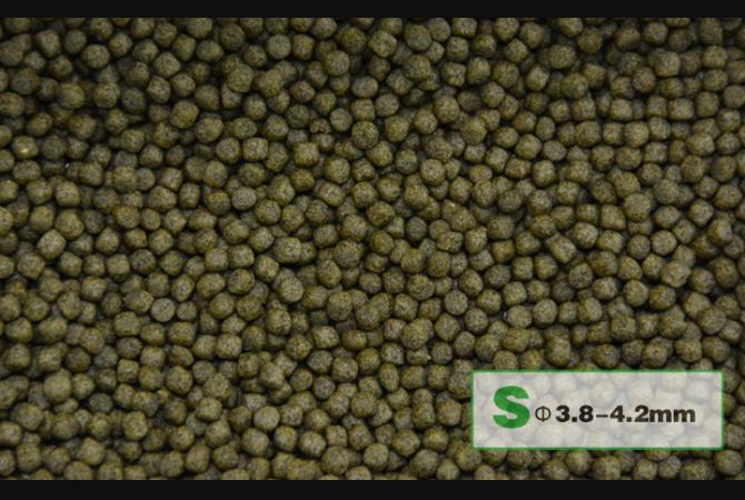 Aqua Master Koi Staple 1kg (S)