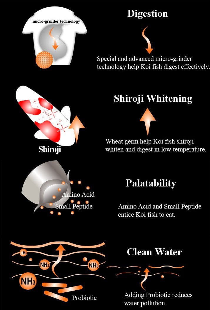 Aqua Master Koi Wheat Germ 1kg (S)