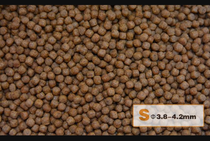 Aqua Master Koi Wheat Germ 1kg (S)