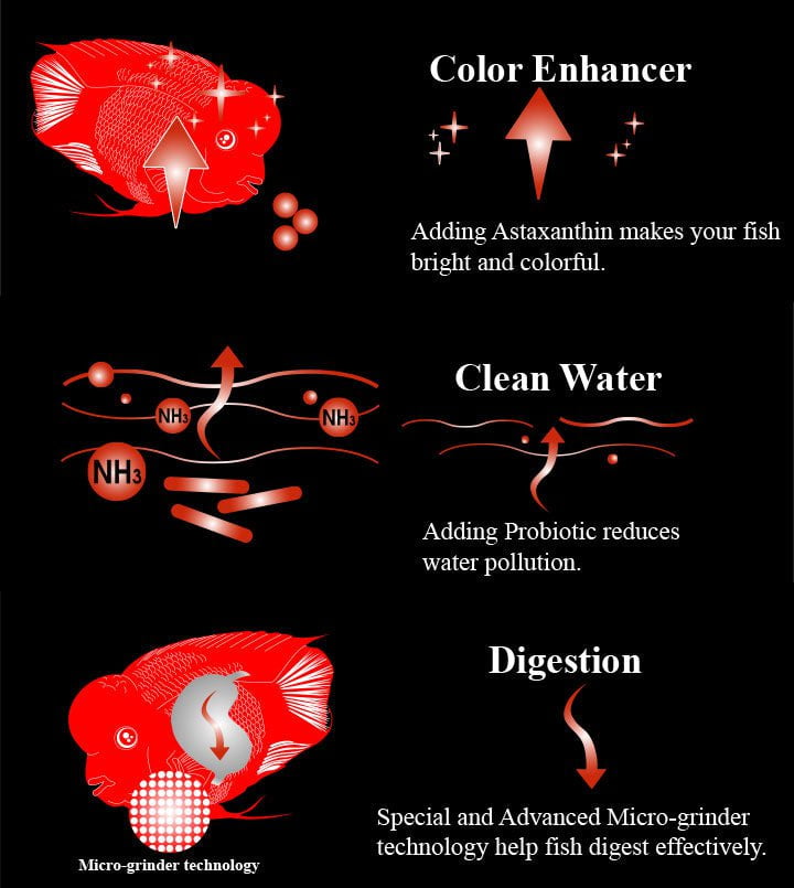 Aqua Master Fish Colour Red Parrot 1088g