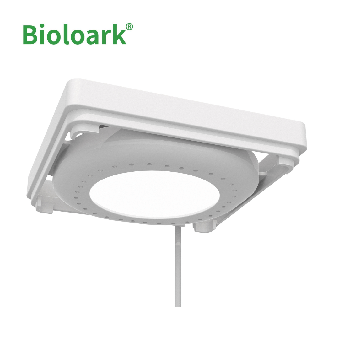 BIOLOARK BT-01 Betta Tank