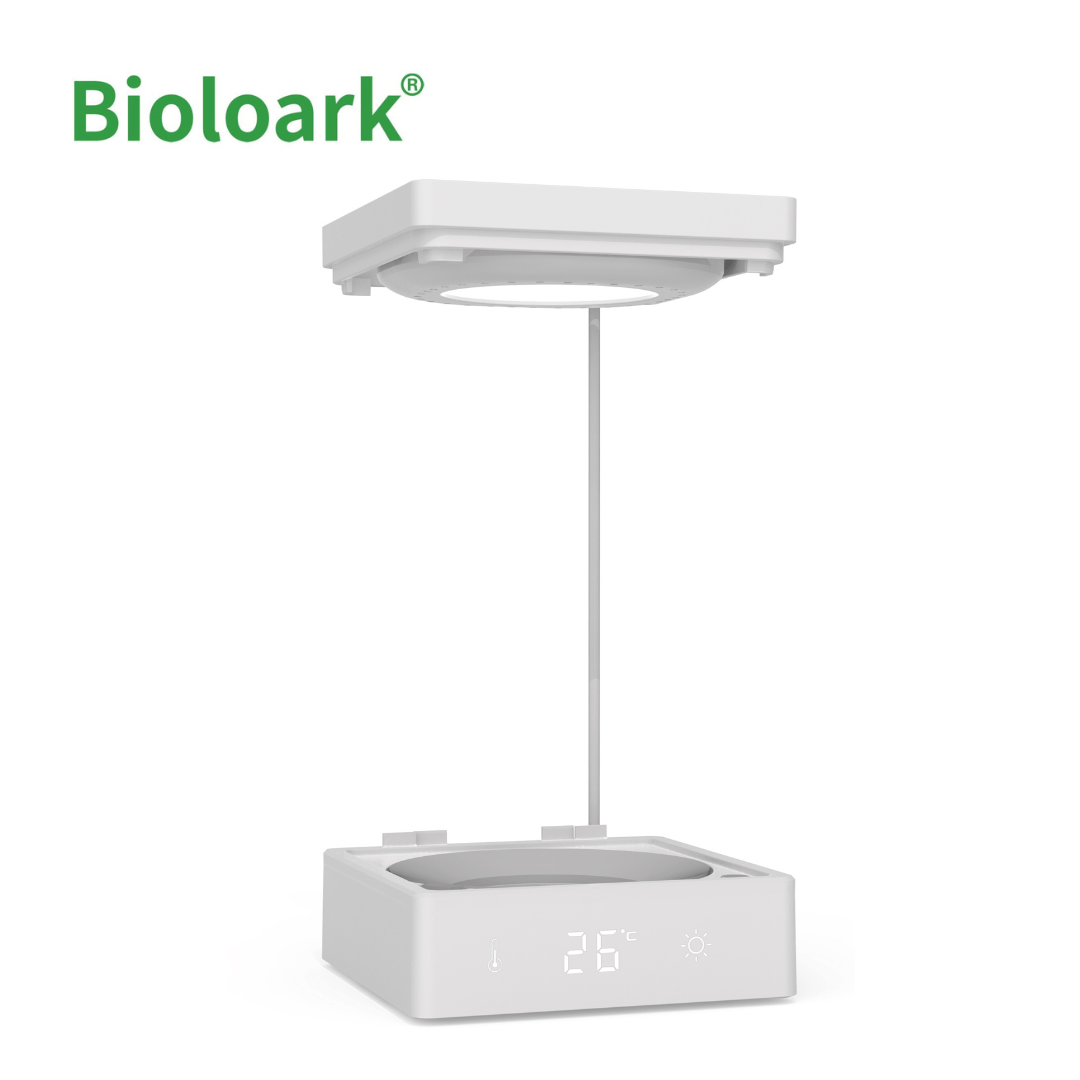 BIOLOARK BT-01 Betta Tank