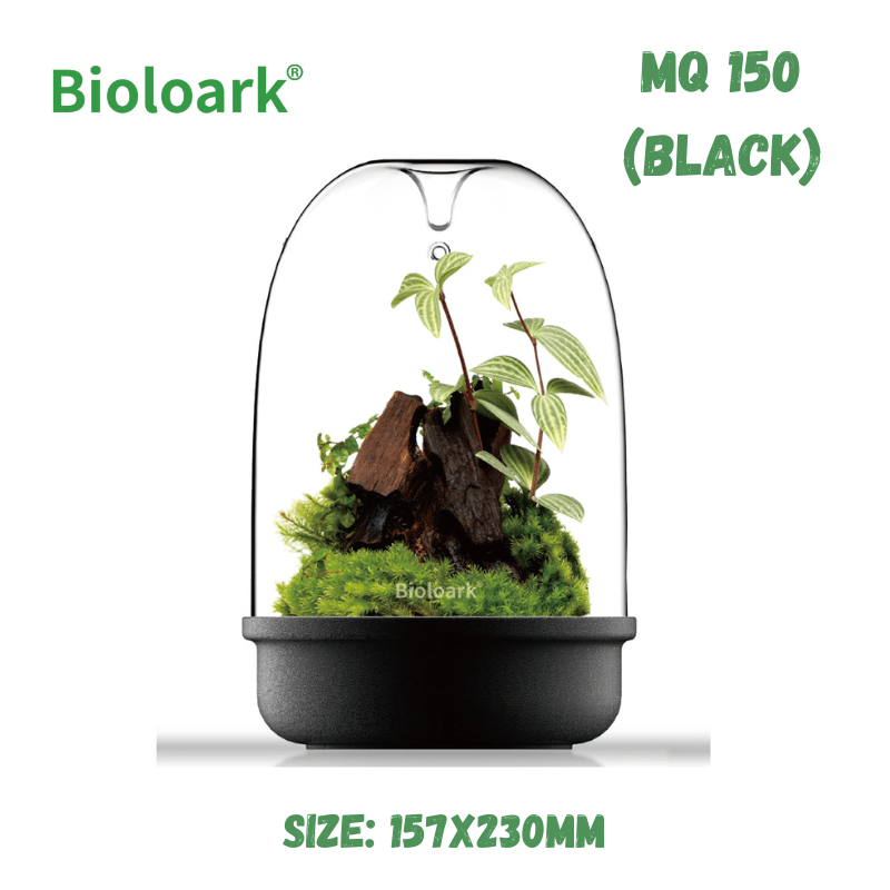 BIOLOARK - Bio Bottle Terrarium (MQ-150/175) (Black/White)