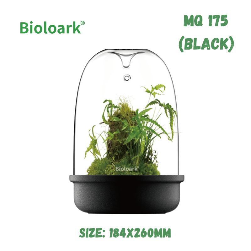 BIOLOARK - Bio Bottle Terrarium (MQ-150/175) (Black/White)