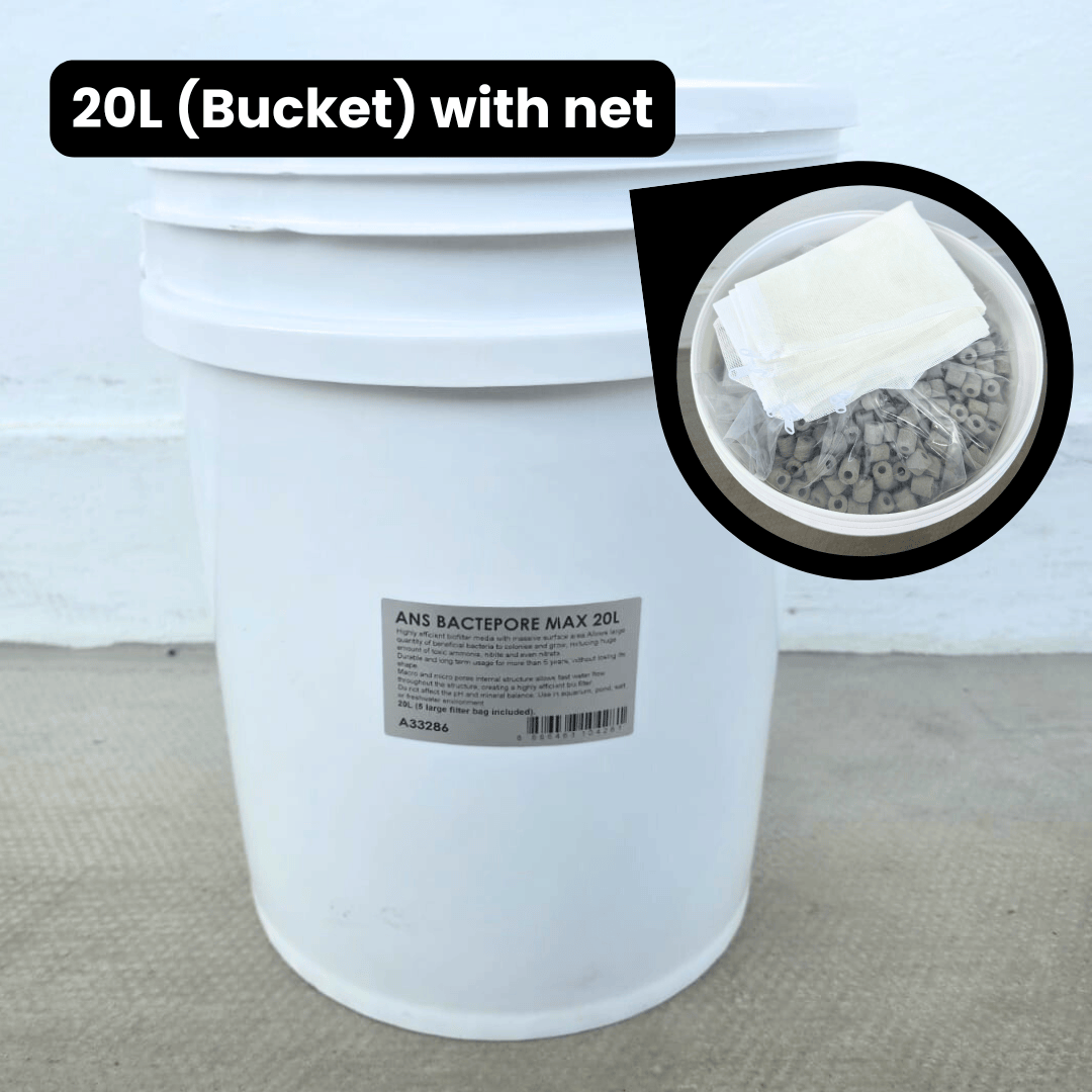 ANS BacterPore MaxSuper Porous Ceramic Rings | Aquarium Koi Pond | pH