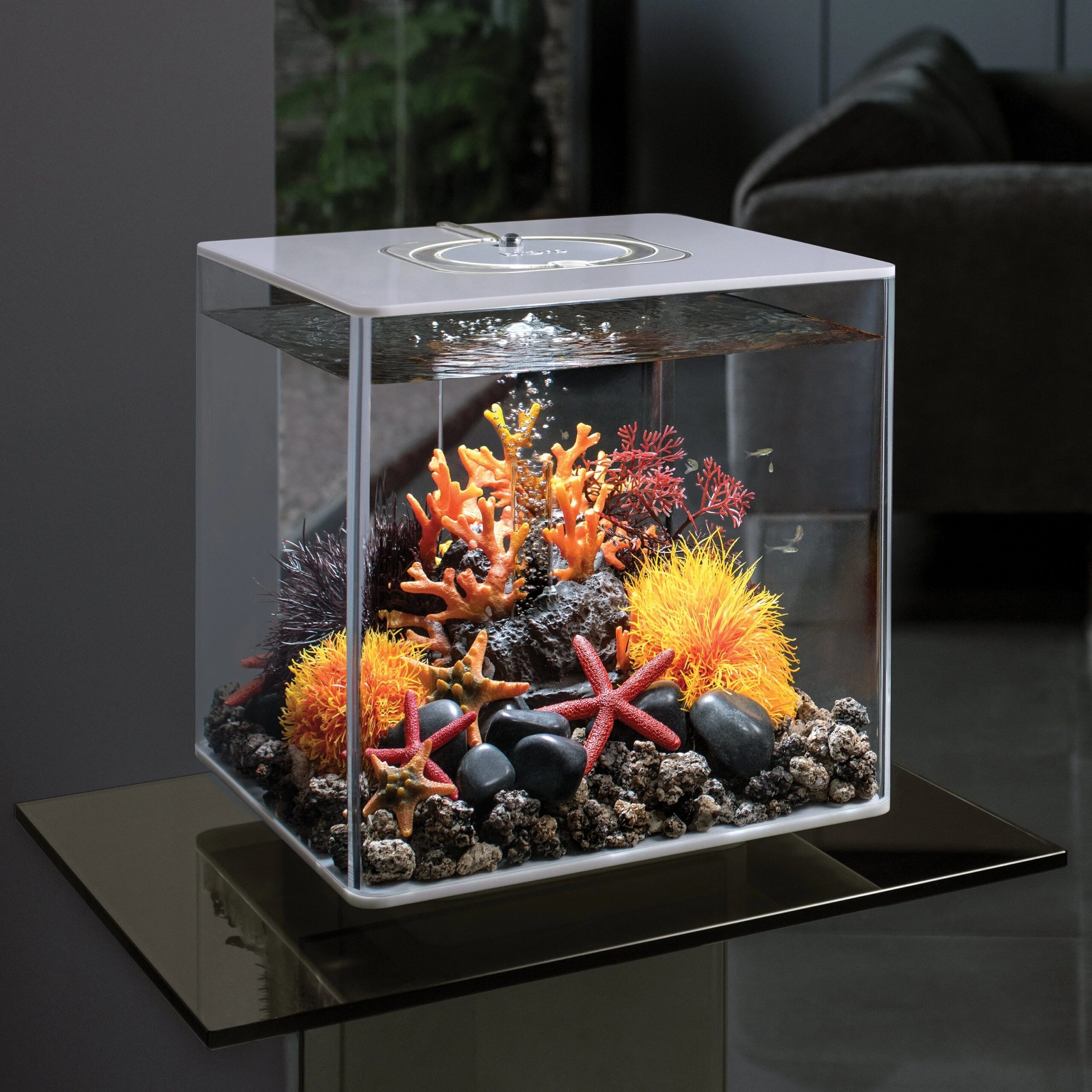 biOrb Lava rock with fire coral ornament