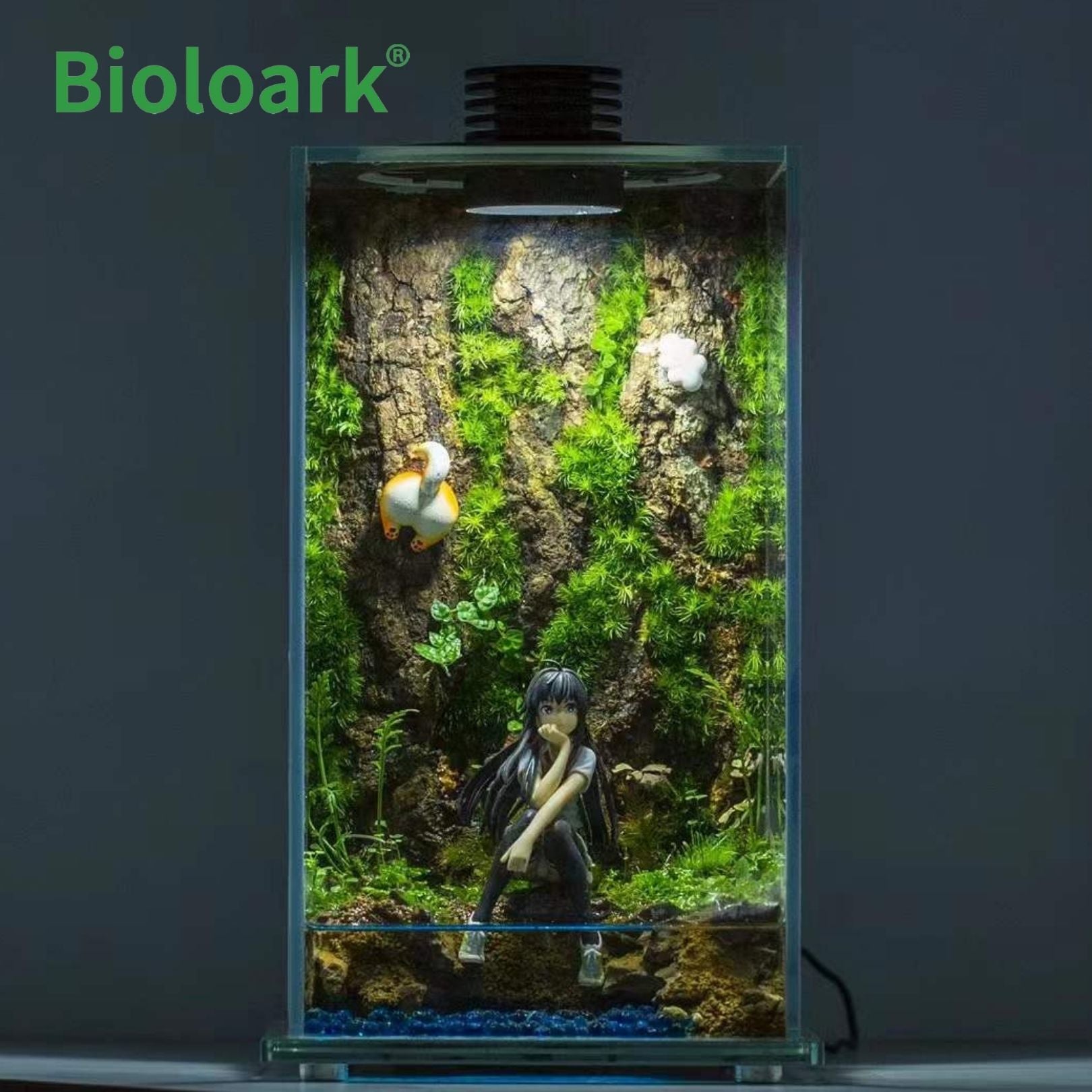 BIOLOARK - Enclosed Terrarium Tank (FD-200 / FD-250)