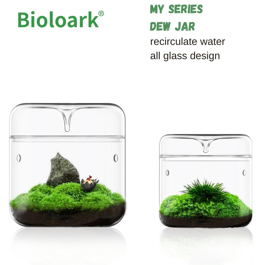 BIOLOARK Dew Glass Cup (Micro Terrarium) MY Series