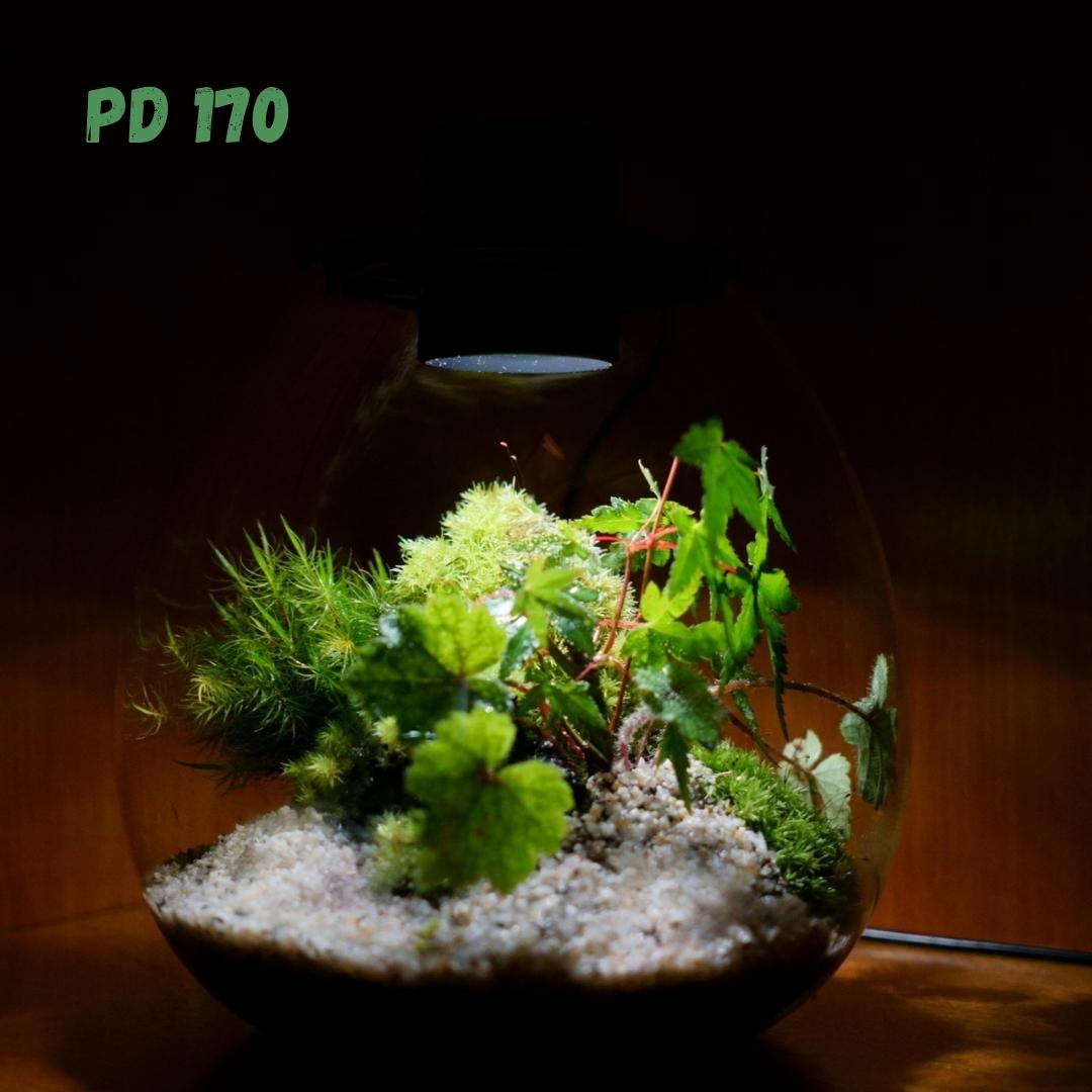 BIOLOARK - Bubble Terrarium (PD-170 / PD-210)