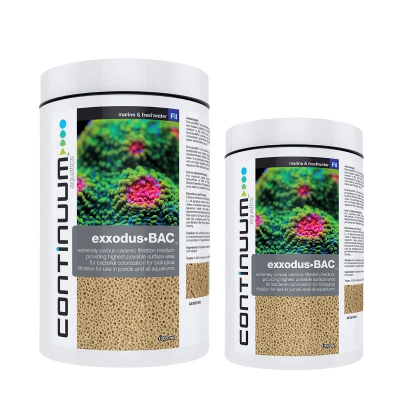 CONTINUUM EXXODUS-BAC CUBES