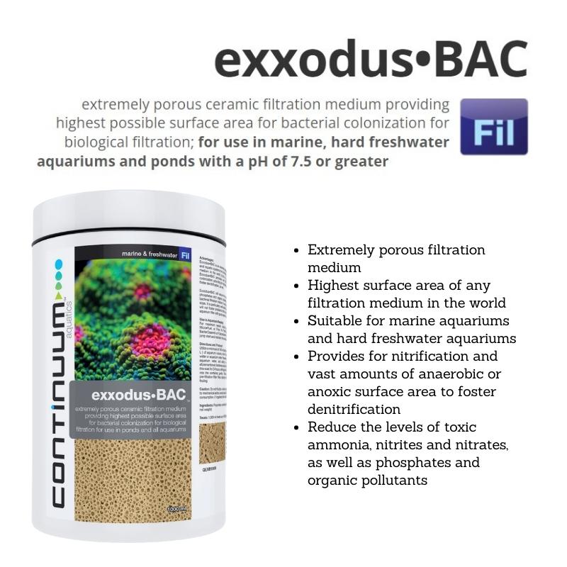 CONTINUUM EXXODUS-BAC CUBES