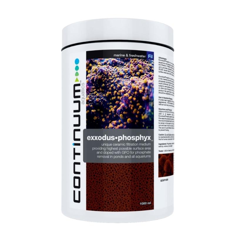 CONTINUUM Exxodus Phosphyx Cubes